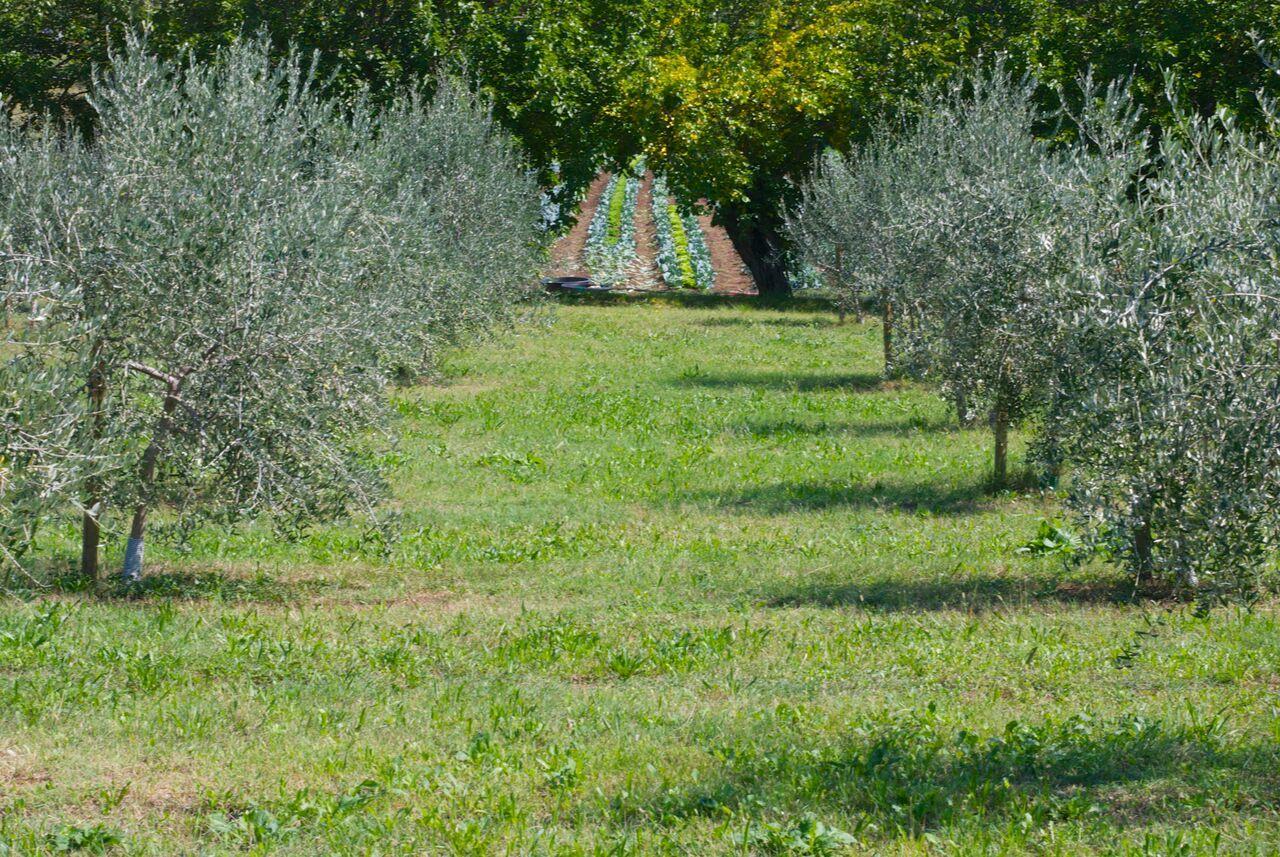 La Costa Fattoria Sociale Villa Sarcedo Exterior foto